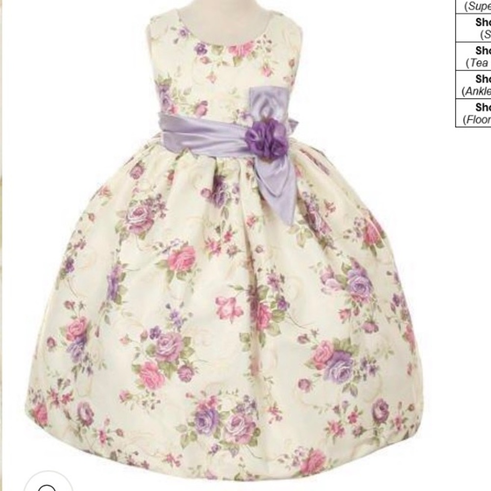 Cinderella couture girl dress flower girl wedding